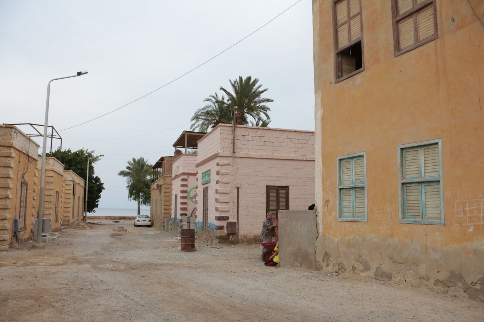 A serene street view of traditional coastal architecture with palm trees.