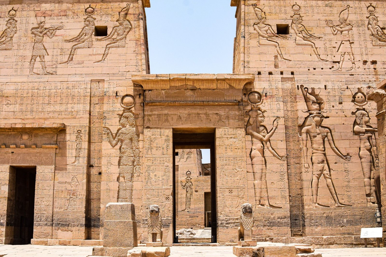 Close-up of detailed hieroglyphic carvings on an ancient Egyptian temple wall.